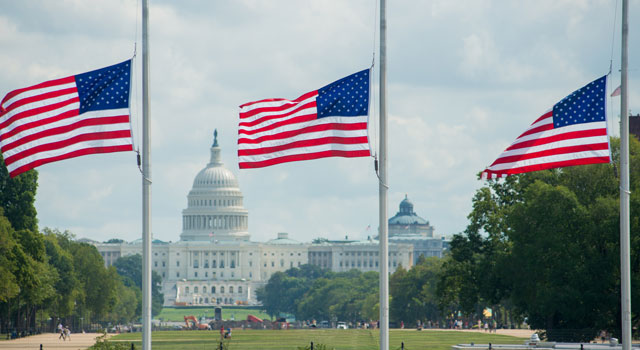 US Flags in front of Capitol Building