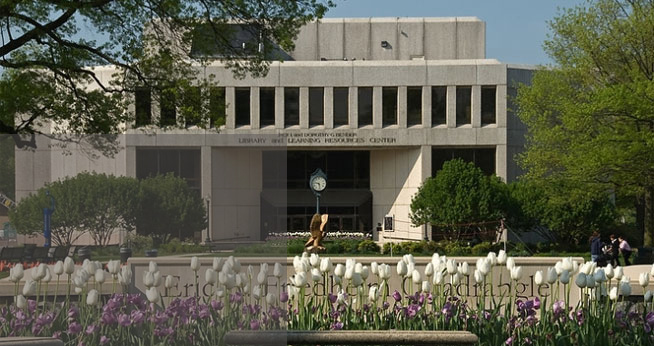 Bender Library