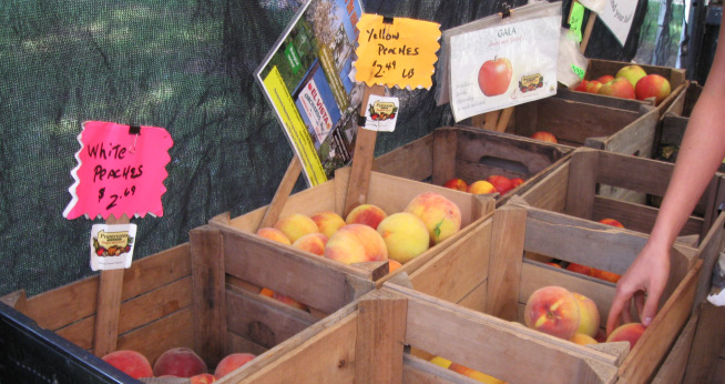 Sustainable Food
