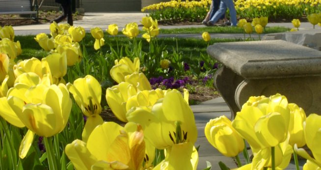 Gardens