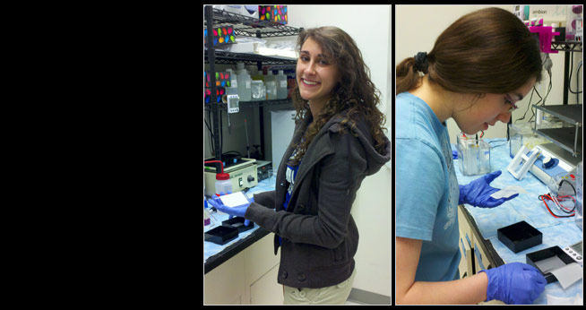 Undergraduate biology research
