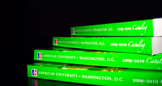 Public Sociology