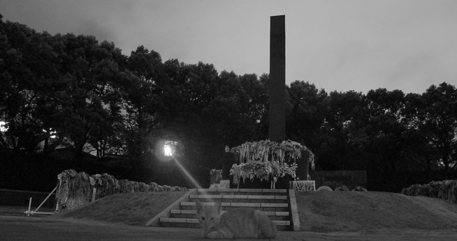 Nuclear Studies Institute