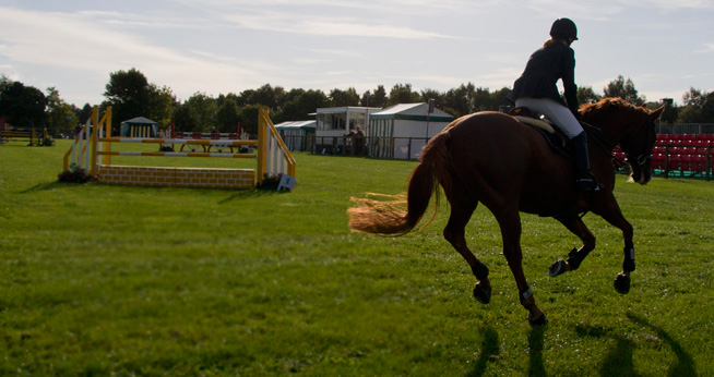 horse jumping