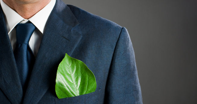 Master's in Sustainability Management