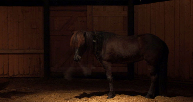 Marthe Thorshaug, Still from Legend of Ygg, at AU Museum