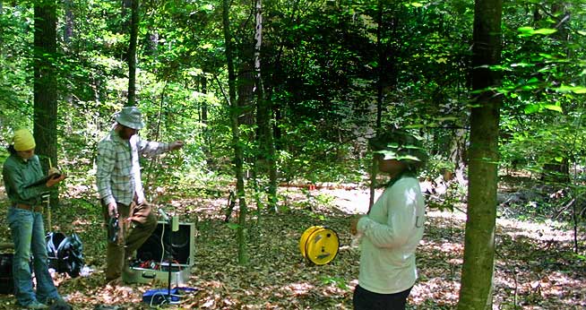 Fieldwork in Great Dismal Swamp