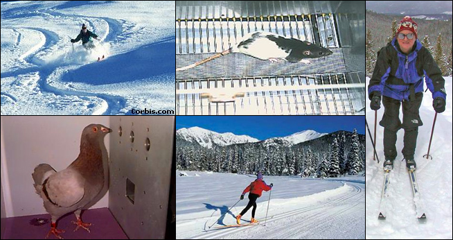 WCLAB at Winter Park, Colorado