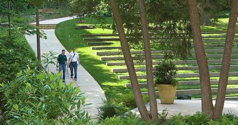 A view of the Amphitheatre and Arboretum