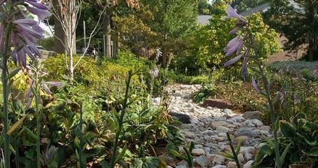 Creek bed outside Clark Hall