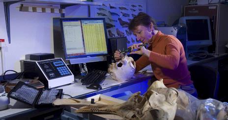Biology professor Cathy Schaeff