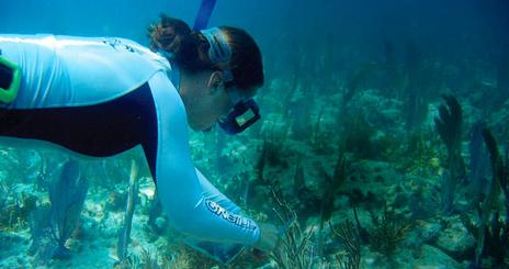 Coral research