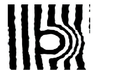 Joined result of the neural networks