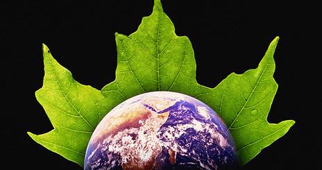 Environmental Issues