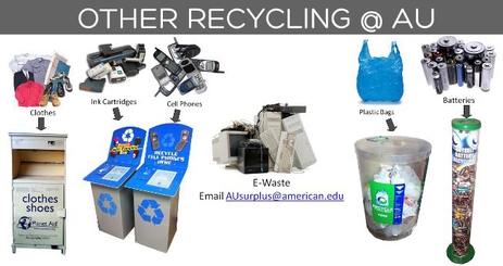 Other Bins