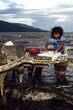Society_and_Environment image