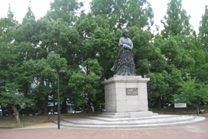 Nuclear Studies Institute