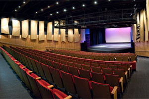 Seats inside the Greenberg Theatre.