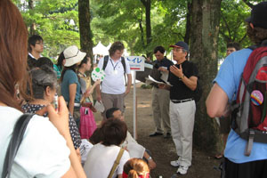 Nuclear Studies Institute