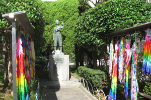 Nuclear Studies Institute