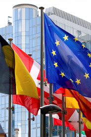 Photo of flags