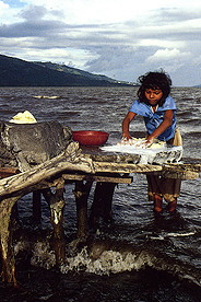 Society_and_Environment image