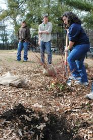 Community Garden Spring 2012