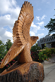 Eagle Statue on Quad near Bender Library on AU's main campus