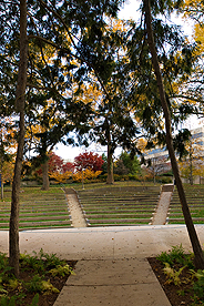 View from the Provost's Office