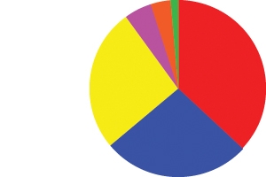 A chart describing the employment of SIS Alumni in 2013.