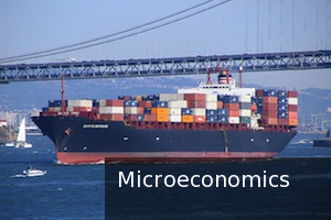 Microeconomics