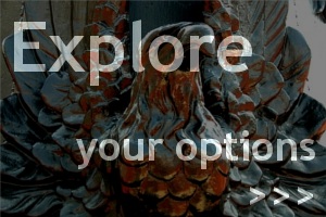 Explore your options