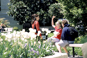 Students talking on AU's campus