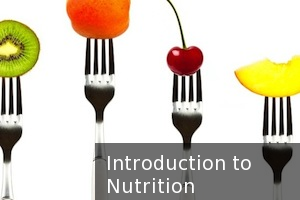 Nutrition