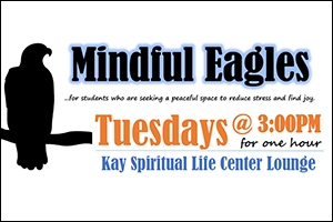 Mindful Eagles
For more information, contact mindfuleagles@american.edu