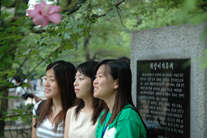 Nuclear Studies Institute