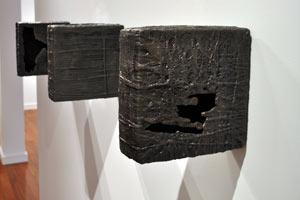 Amber Scoon, Autoimmune/Iron