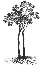 GSC tree