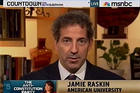 Jamie Raskin, Professor of Law