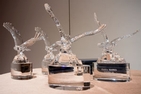 Alumni Awards 2013