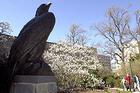 AU Eagle Statue