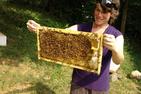 Professor Eve Bratman holds a frame of AU's campus bees