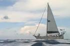 SOC CEF Ocean for Life Stewardship