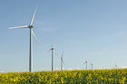 Renewable Choice Energy is the Colorado-based company supplying renewable energy credits to American University through the Langdon Wind Energy Center, the largest wind energy facility in North Dakota.