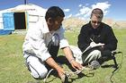 K. David Harrison in Mongolia