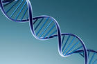 An illustration of a strand of DNA.