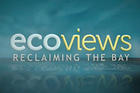 ecoviews logo