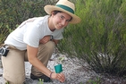 Stevia Morawski conducting research.