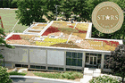 The green roof on top of the Media Production Center is one of many sustainable elements on campus that helped earn American University a gold rating.