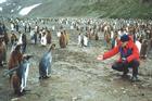 Photo: Jack Child with penguins